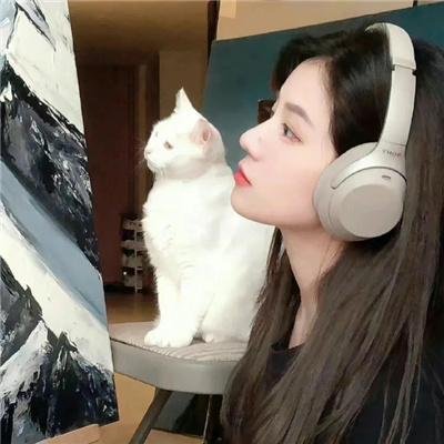 勇探雪沉冤